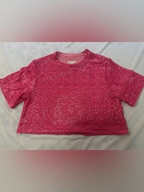 H&M Bright Pink Short Sleeve Sequin Top